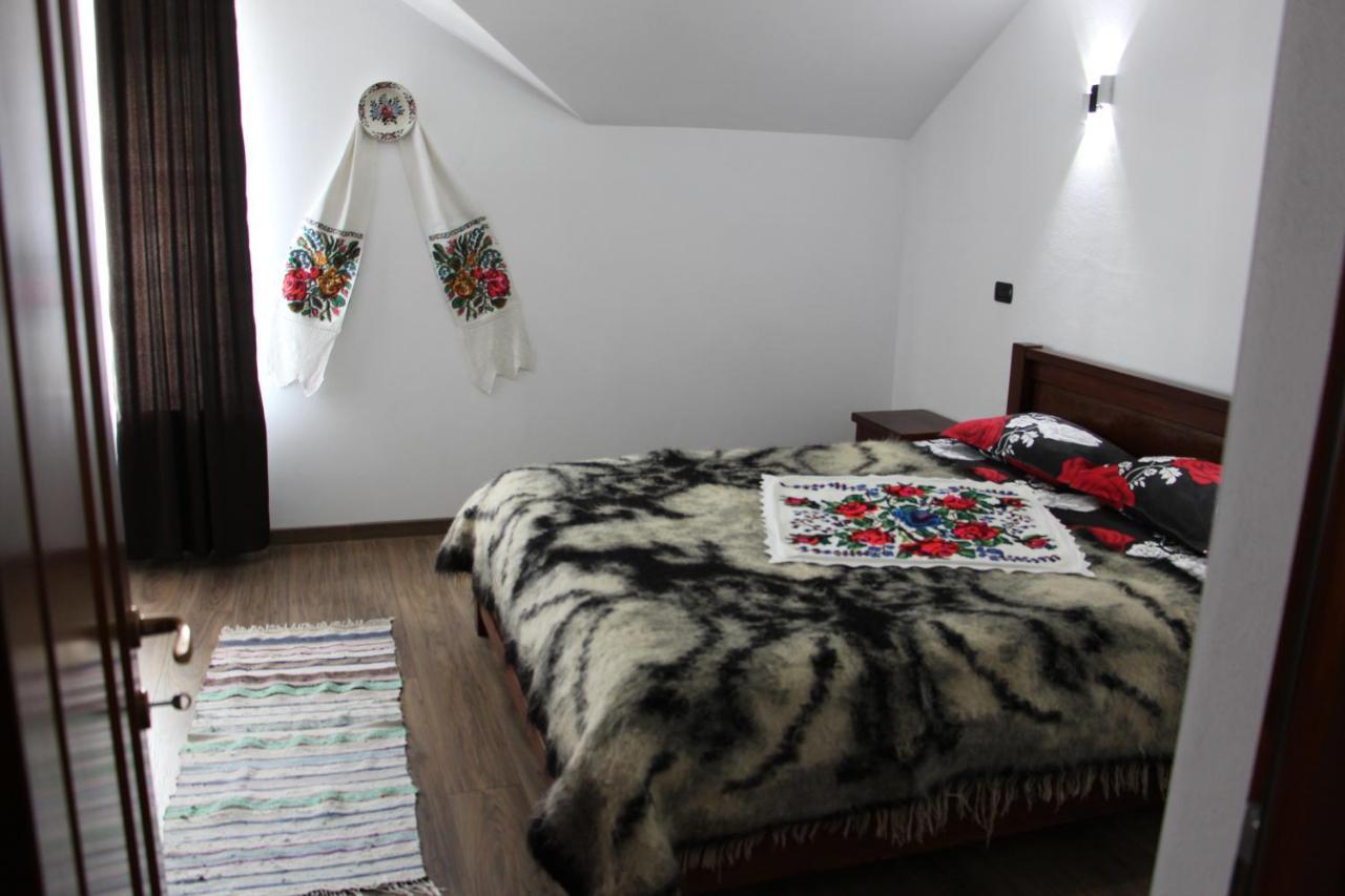 Hotel Popasul Calatorului Moisei Exteriér fotografie